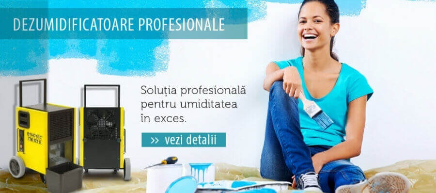 HOMEPAGE_banners_alecoAIR_d__profesionale.jpg