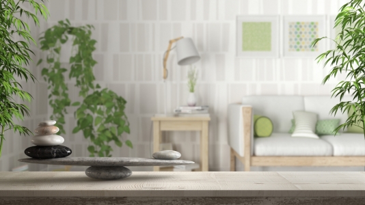 Amenajarea Feng Shui a casei si dotarea ei cu echipamente potrivite