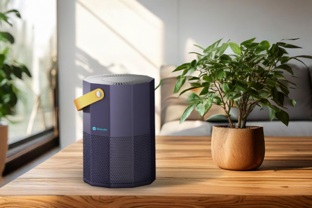 Ghidul purificatorului de aer. Cum il alegi pe cel mai bun, ca sa iti imbunatatesti calitatea vietii