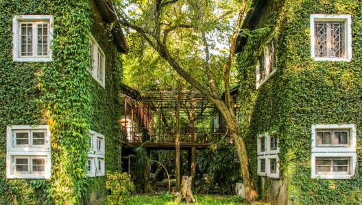 5 moduri prin care poti sa evaluezi calitatea aerului din locuinta