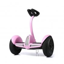 Biciclu electric Rayeetech Minirim W Pink