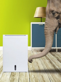 Resigilat - Dezumidificator Meaco DD8L Zambezi, 12l/zi, Debit 150mc/h, Pentru 25mp, Higrostat, Timer, Functie ionizare