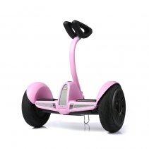 Biciclu electric Rayeetech Minirim W Pink Air imagine 2022