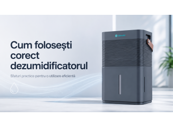Cum folosesti corect dezumidificatorul. Sfaturi practice si greseli de evitat