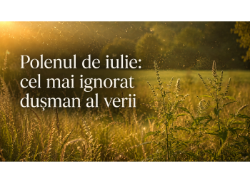 Polenul de iulie: cel mai ignorat dusman al verii