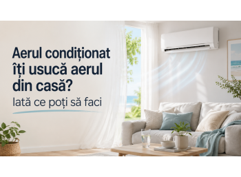 Aerul condiționat îți usucă aerul din casă? Iată ce poți să faci