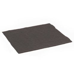 Filtru carbune activ pentru AirgoClean 205 S