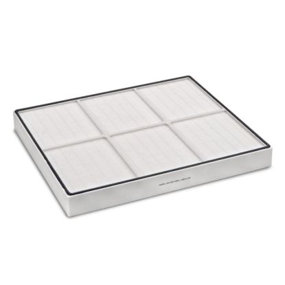 Filtru True HEPA pentru AirgoClean 205 S
